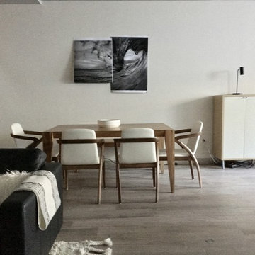 Modern Minimalist Family Room