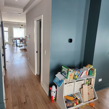 Lincoln Park Chicago. House painting