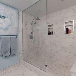 Frameless Splash Panels - Shower Doors