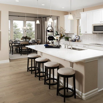 Hopewell model home in Colorado