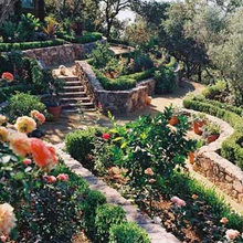Landscape Yards