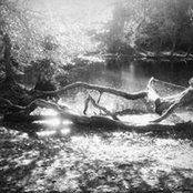 Paula Moss's photo