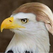 Thomas Tyler's photo