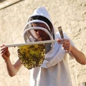 Trevor Walsh's photo
