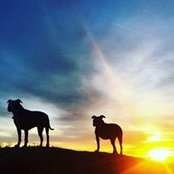 Sasha Abelson's photo
