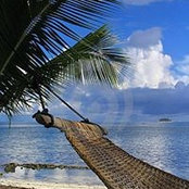 Janine Usalj's photo