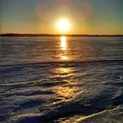 Photo de Steve Colvin