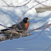 Foto von Mary Hopper