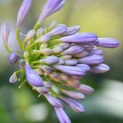 Holly Smith's photo