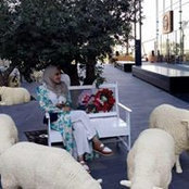 Nouran Saad's photo