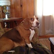 Brian Mabry's photo