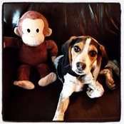 Melissa Akers's photo