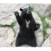 Victoria Croce's photo