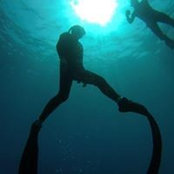 Jimmy Koniarski's photo