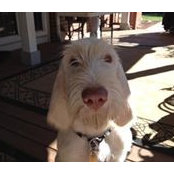 Rita Monte's photo