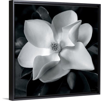 "Magnolia" Floating Frame Canvas Art, 18"x18"x1.75"