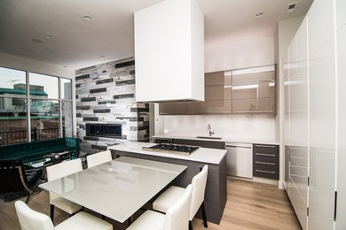 Kitchen - contemporary kitchen idea in DC Metro