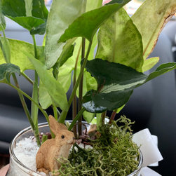 Project No.- 137 - Terrariums
