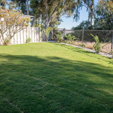 Backyard Sod & Landscape Refresh