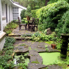 Landscape Ideas