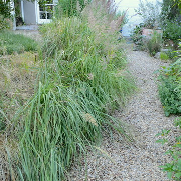 Menlo Park Native Plant Haven