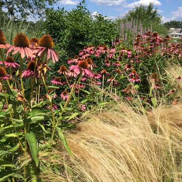 Waterfront Garden, Greenwich CT