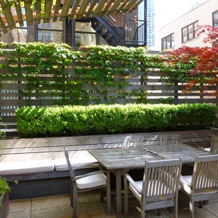 Großer Moderner Patio mit Pflanzwand in New York
