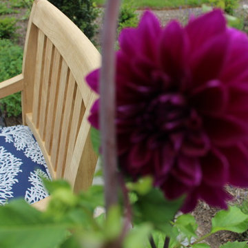 Middletown Backyard