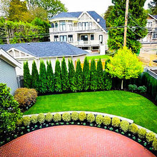 Privacy Trees