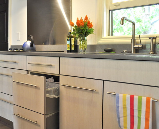 ecofriendly kitchen: healthier kitchen cabinets