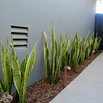 Contemporary squares
