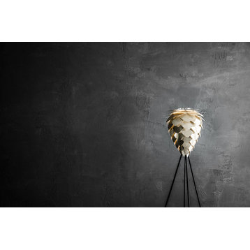 Conia 57" Tripod Floor Lamp, Black/Brushed Brass