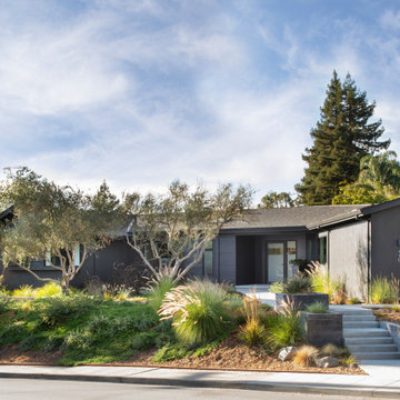 California Scandi-Modern