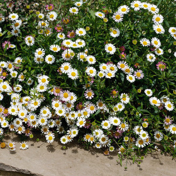 Terraced Garden
