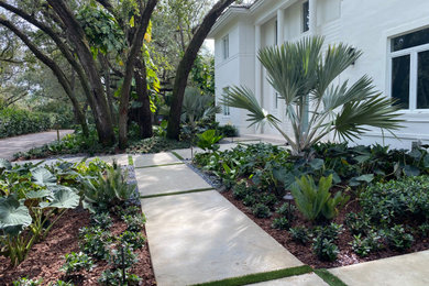 This is an example of a mid-sized contemporary shade front yard concrete paver landscaping in Miami.