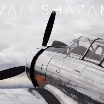 Art Work by Afsoon Booth