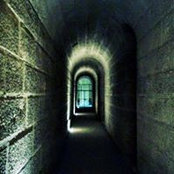Andrew Coleman's photo