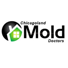 Chicagoland Mold Doctors