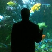 David Abernathys foto