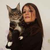 Barbara Scialfas billede
