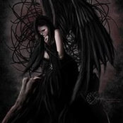 Fiery Phoenix's photo