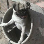 fudge2004s foto