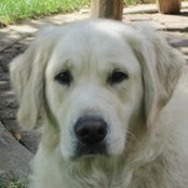 Kelli Tannahill's photo
