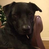 Leah Wietholter's photo