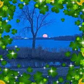 Kathy Greenhalgh's photo