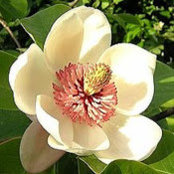 LanHuong Nguyen's photo