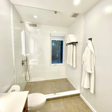 Riverdale Whole Home Reno - Shower