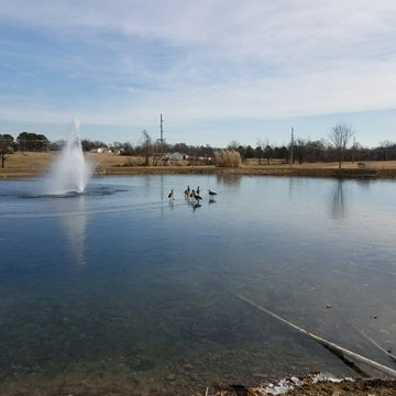 Water Features - Master Gardners N Assoc. Featured Site
