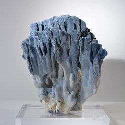 Corals - Products