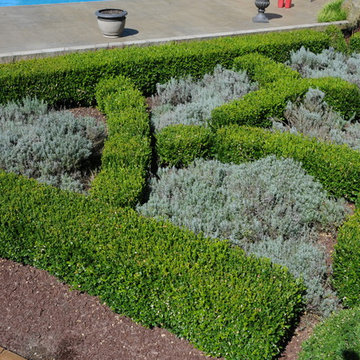 Theme Garden